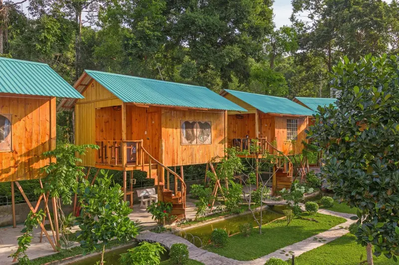 Cabanes en bois sur pilotis au milieu d'une végétation luxuriante.