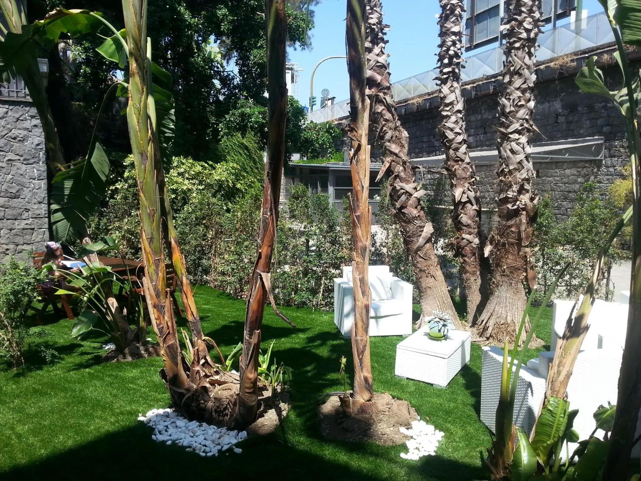 Espace extérieur aménagé avec des fauteuils blancs et des palmiers.