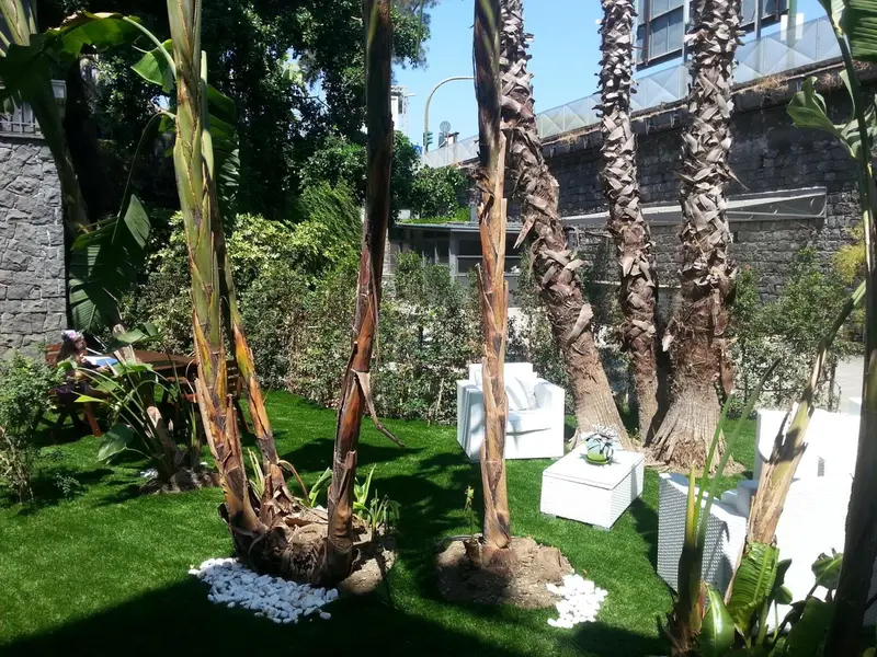 Espace extérieur aménagé avec des fauteuils blancs et des palmiers.