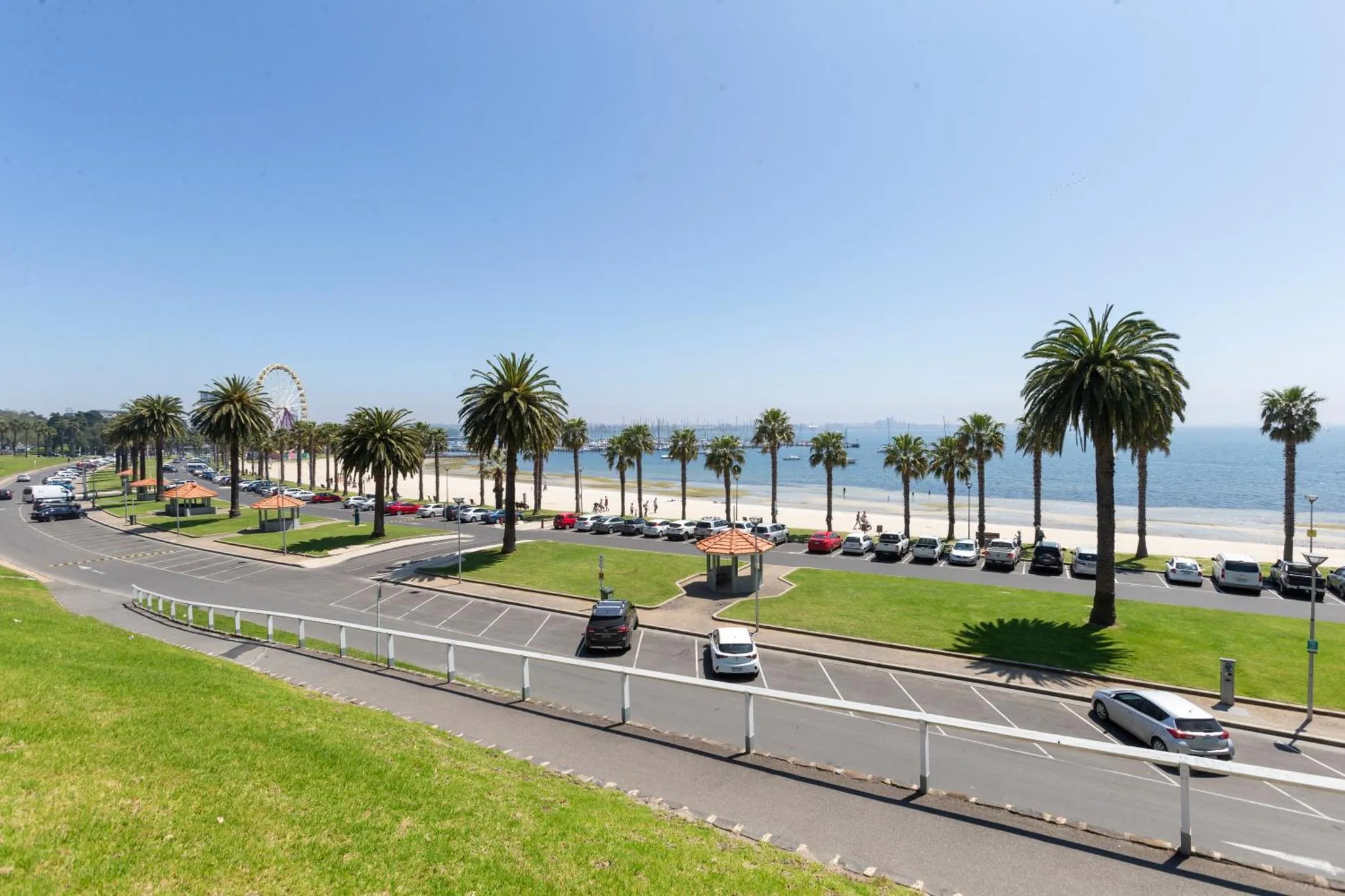 Vue d'une promenade en bord de mer avec des palmiers et des voitures garées.