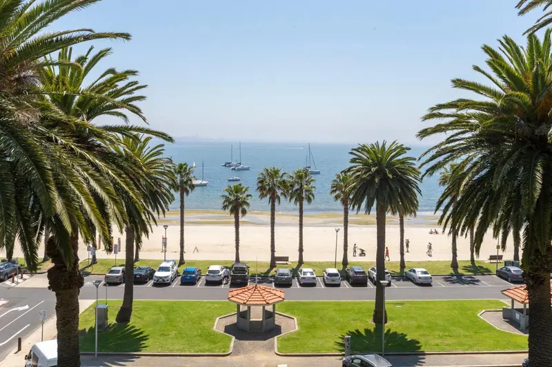 Vue sur une plage bordée de palmiers et de véhicules garés.