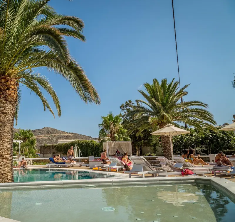 Transats blancs alignés au bord d'une piscine turquoise sous des palmiers.