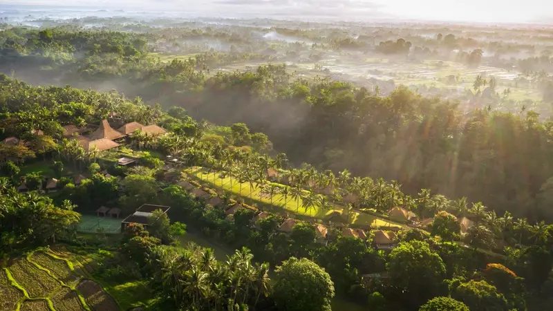 Vue aérienne d'un ensemble de bâtiments au milieu d'une végétation luxuriante et de rizières.