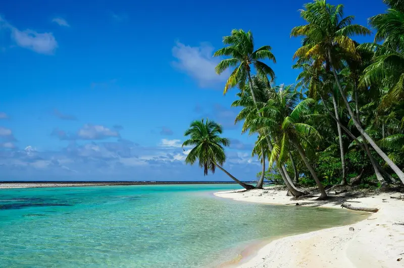Plage de sable blanc bordée de palmiers sous un ciel bleu.