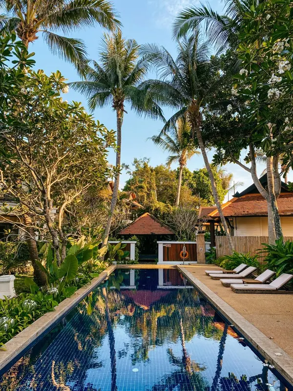 Une piscine rectangulaire bordée de végétation luxuriante et de chaises longues.