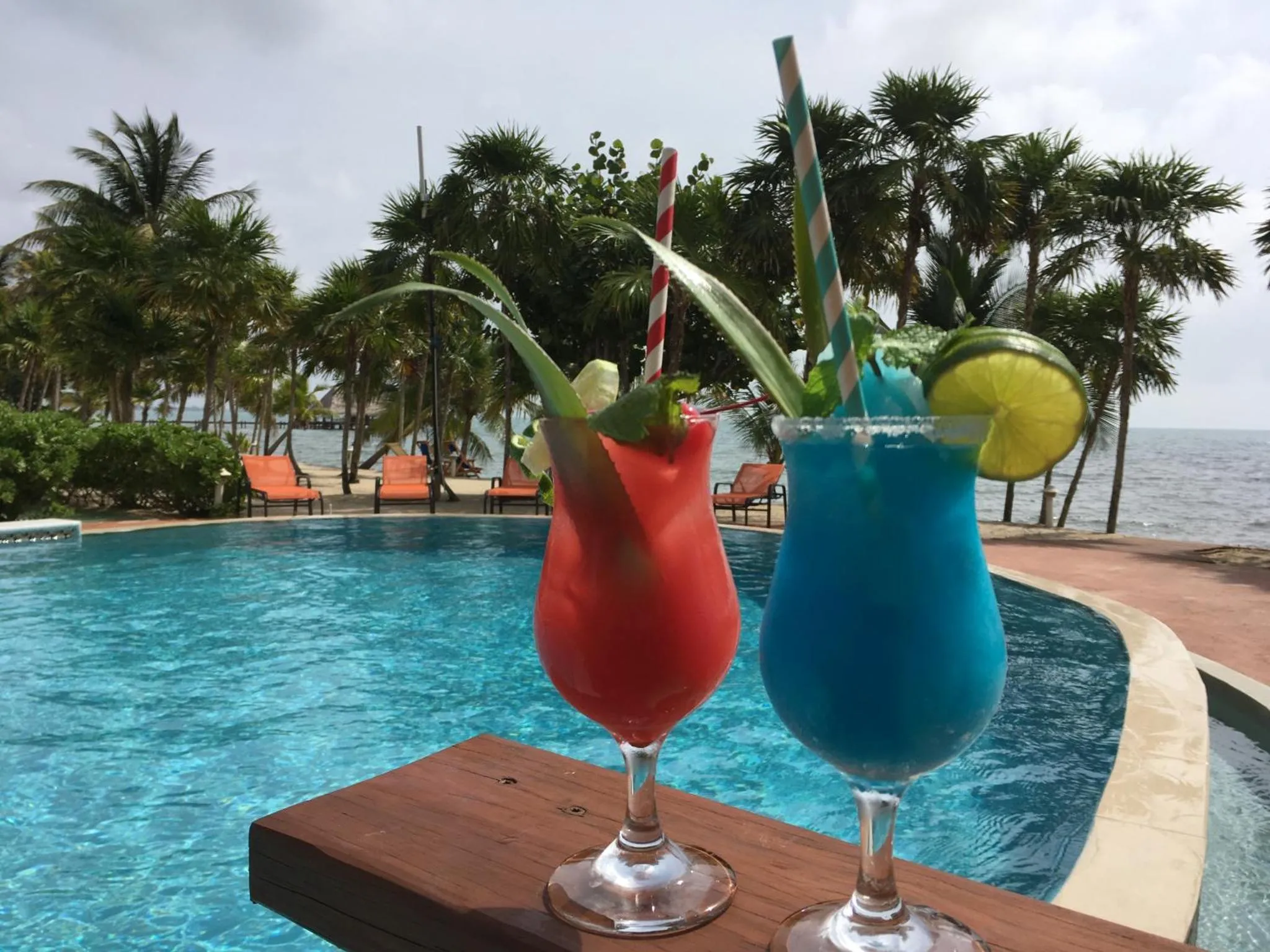 Deux cocktails colorés sont posés au bord d'une piscine turquoise, avec une vue sur la mer et la végétation.