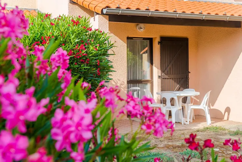 Une terrasse fleurie devant une porte d'entrée.