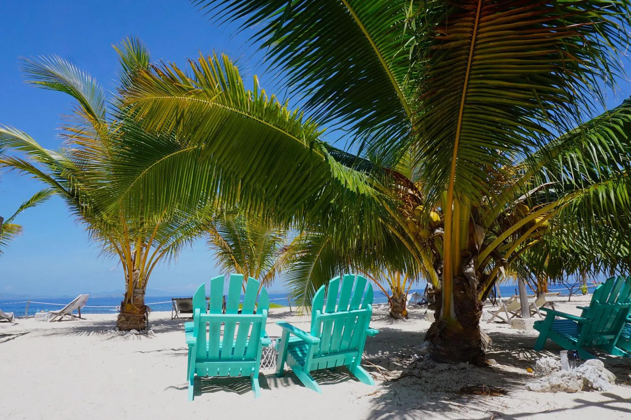 Chaises longues turquoise sur une plage de sable blanc ombragée par des palmiers.