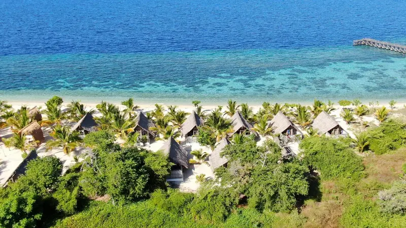 Vue aérienne d'une plage bordée de bungalows aux toits de chaume et de végétation luxuriante.