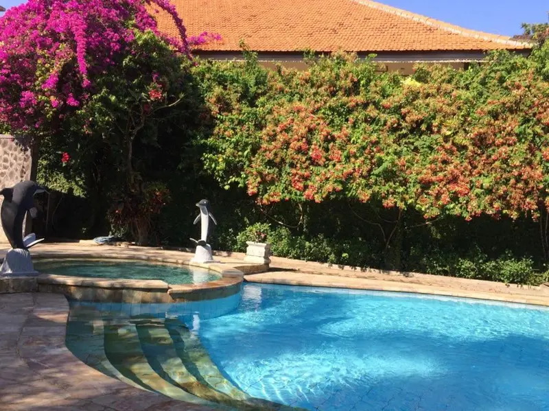 Piscine bleue avec fontaine et végétation luxuriante.