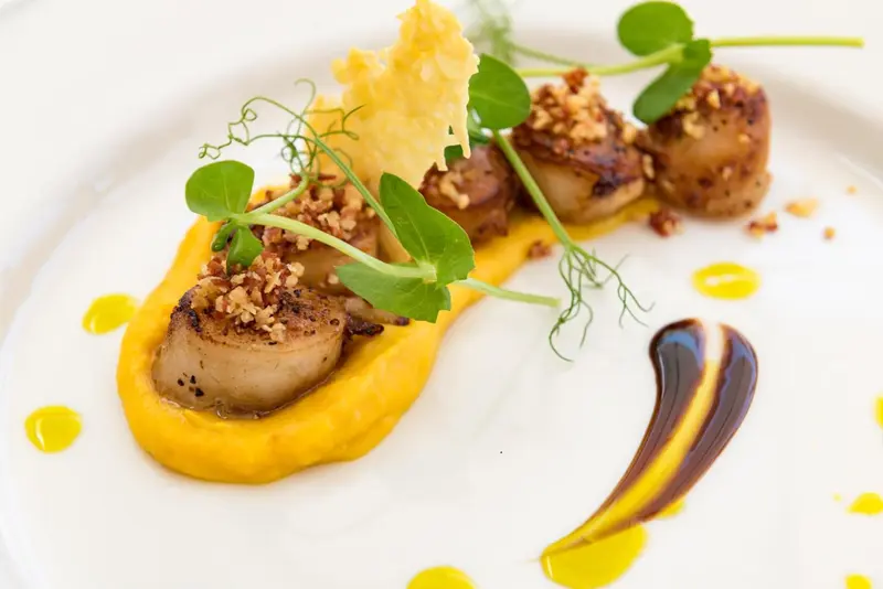 Assiette de noix de Saint-Jacques à la sauce jaune et à la purée de carottes, décorée de verdure et d'une tuile croustillante.