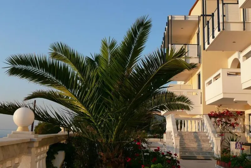 Façade d'un bâtiment blanc avec des palmiers et des escaliers.