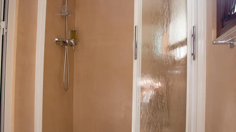 Une douche vitrée dans une salle de bain aux murs clairs.