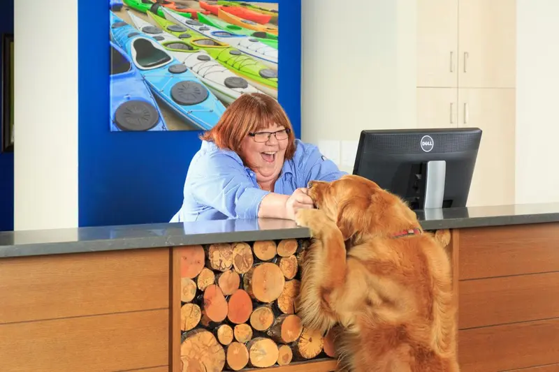 Une employée souriante interagit avec un chien devant un comptoir d'accueil.