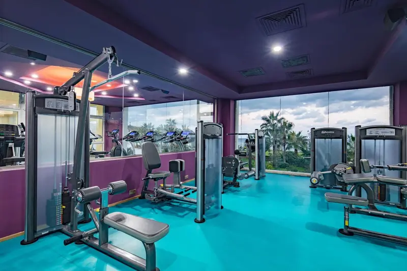 Une salle de sport lumineuse avec des équipements de musculation et une vue sur la végétation.