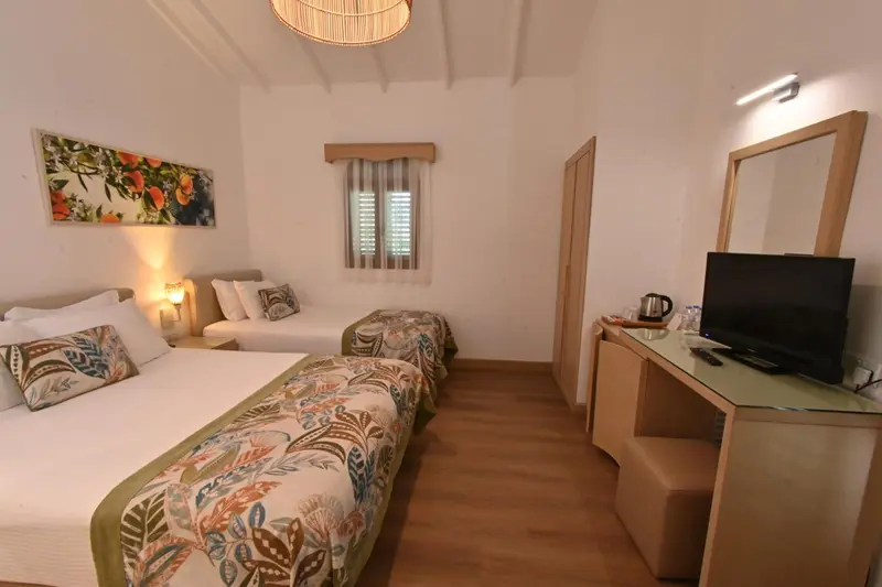 Une chambre lumineuse avec deux lits simples et un téléviseur.