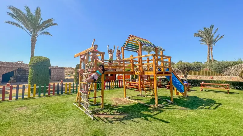 Aire de jeux en bois avec toboggan sur une pelouse verdoyante.