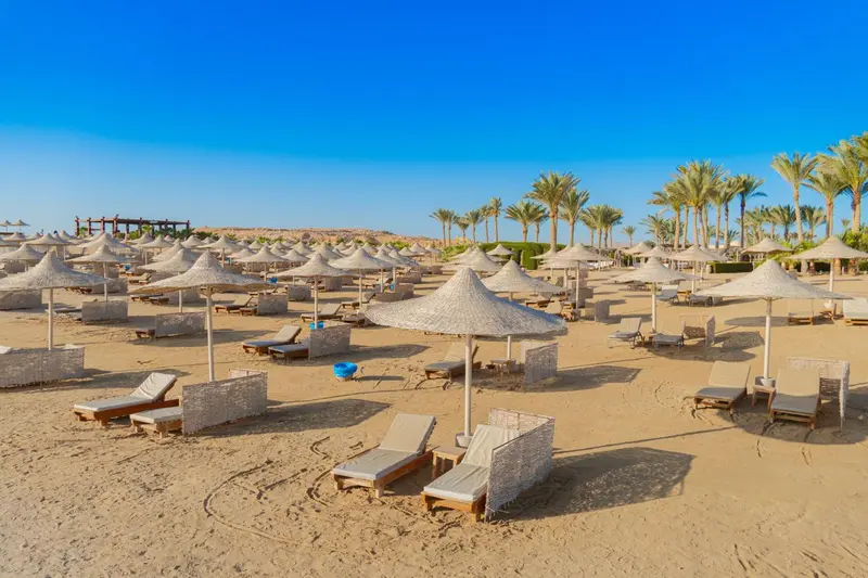 Transats et parasols sur une plage de sable fin sous un ciel bleu.