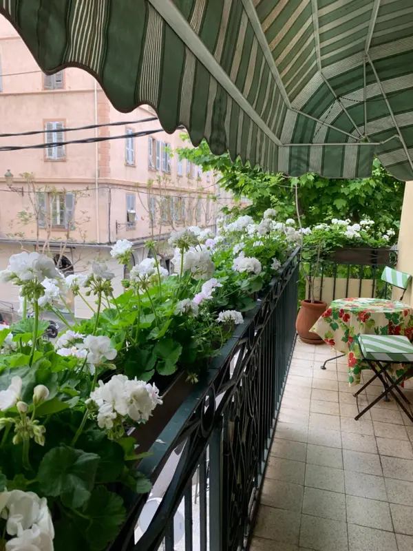 Balcon fleuri avec une vue sur des bâtiments.