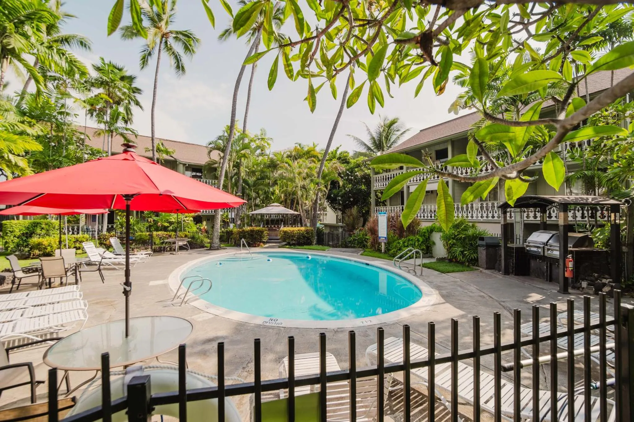 Une piscine bordée de transats et d'ombrelles, dans un jardin tropical.