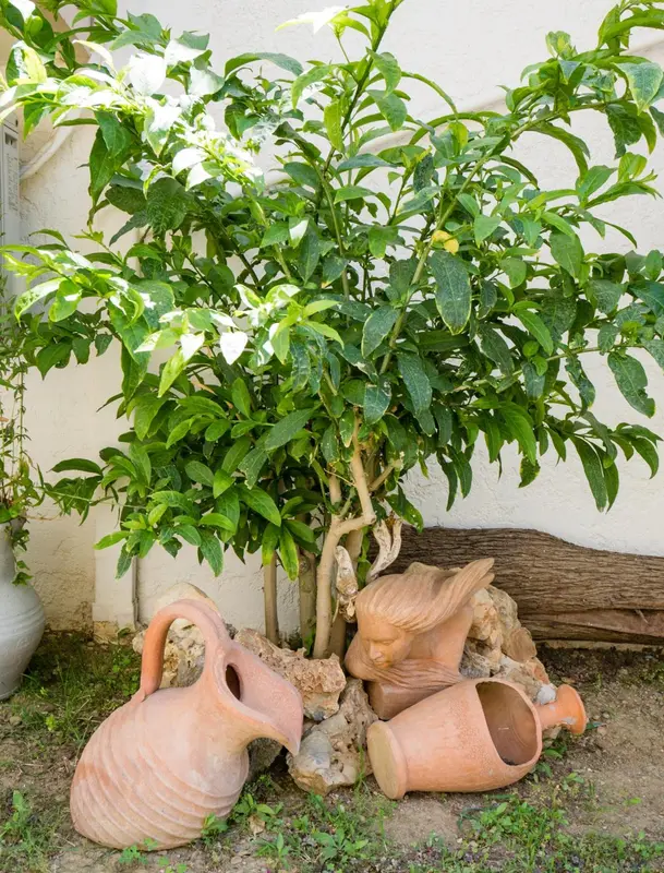 Des pots en terre cuite et une statue ornent un jardin verdoyant.