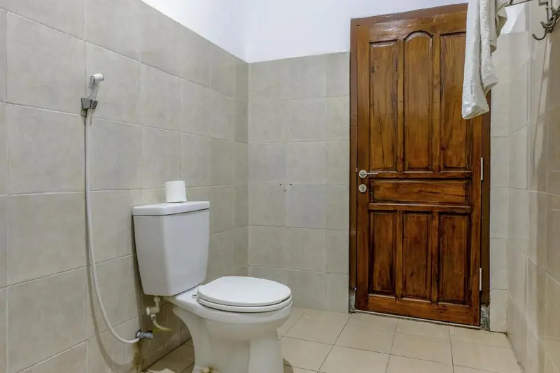 Une salle de bain avec douche, toilettes et porte en bois.