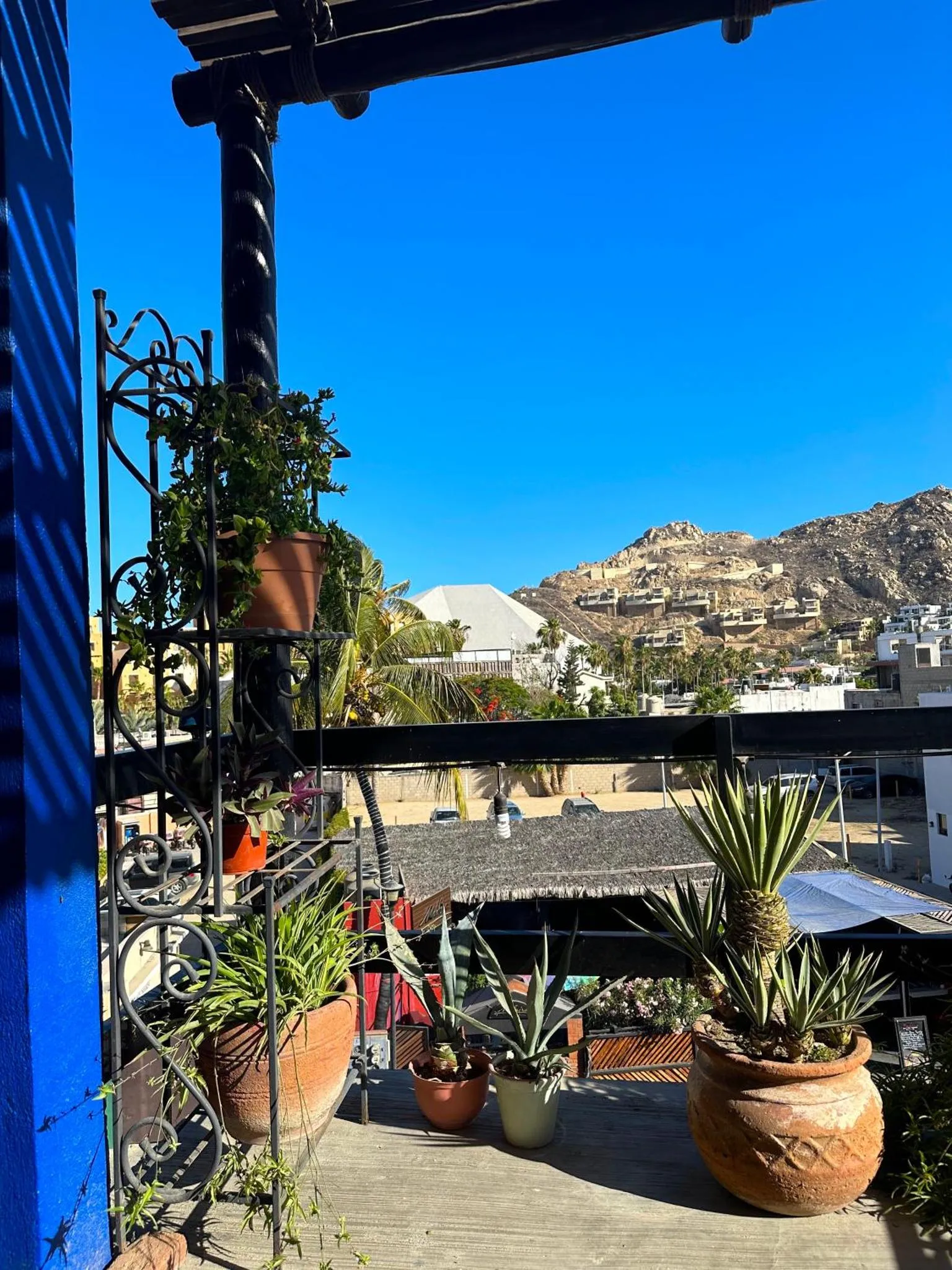 Terrasse ombragée avec plantes en pot et vue sur un paysage montagneux.