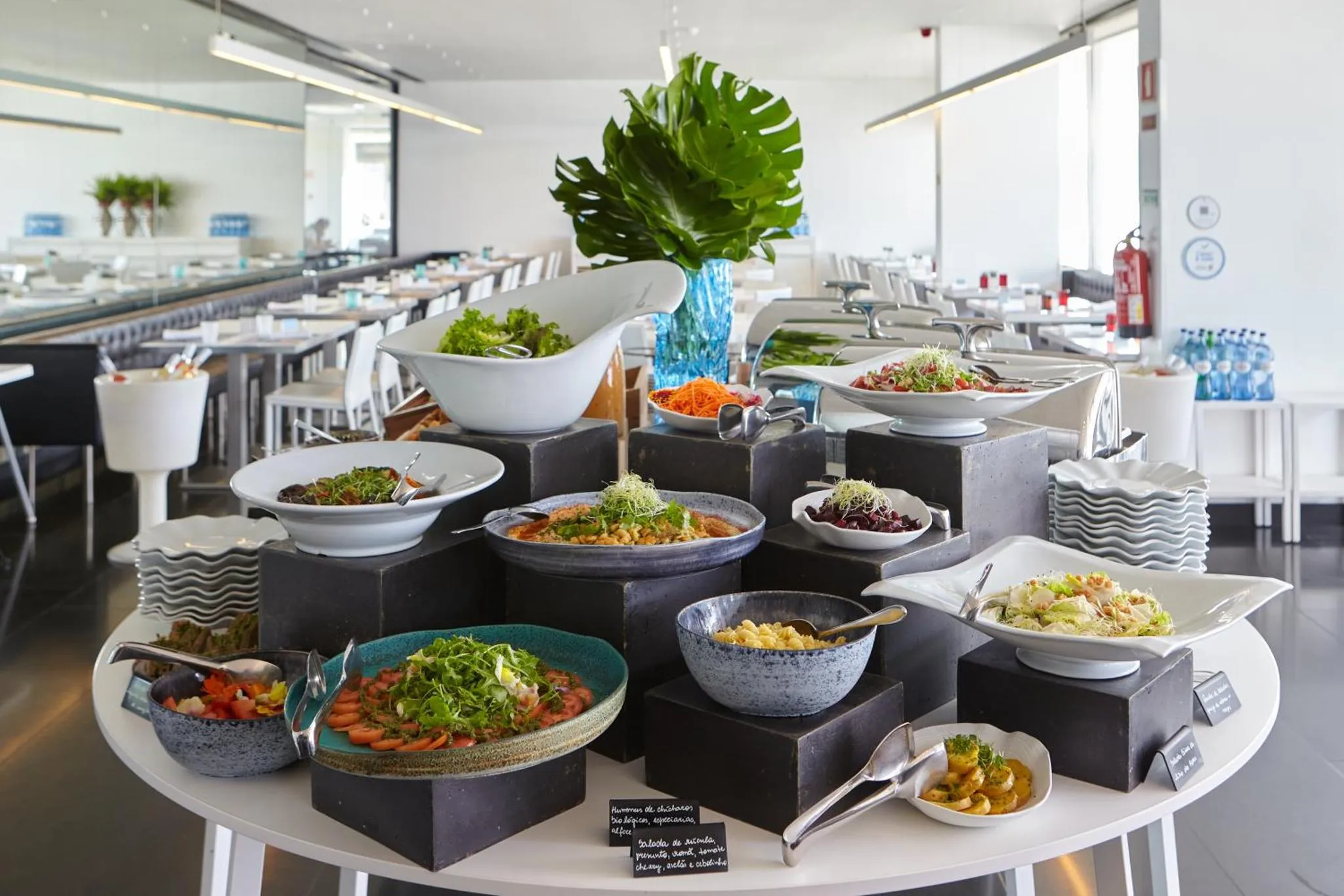 Un buffet propose une variété de salades colorées et de plats préparés.