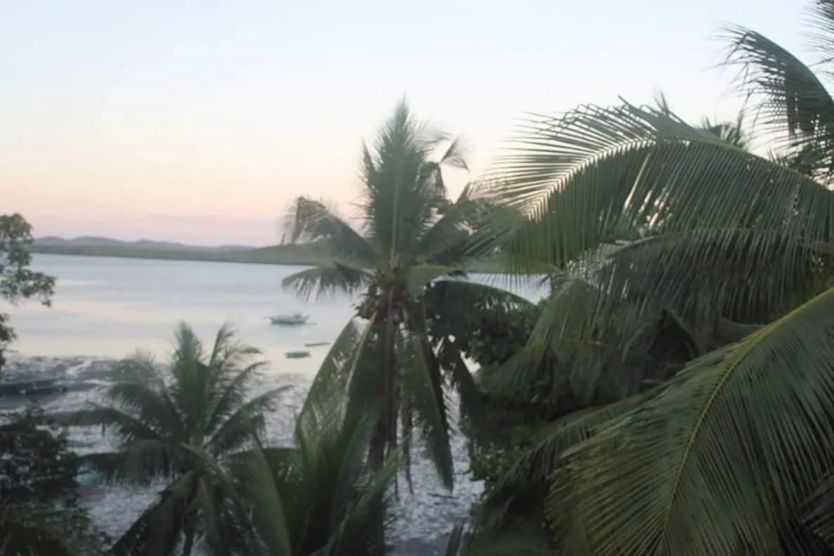 Paysage tropical avec palmiers et vue sur la mer au coucher du soleil.