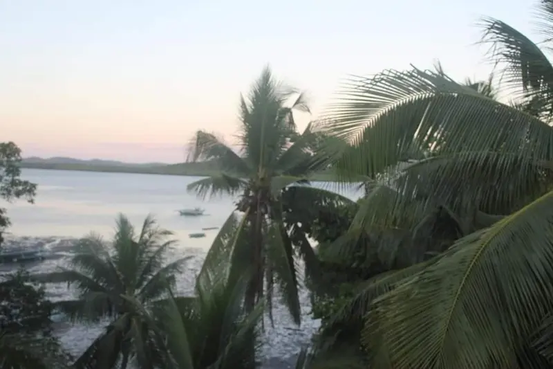 Paysage tropical avec palmiers et vue sur la mer au coucher du soleil.
