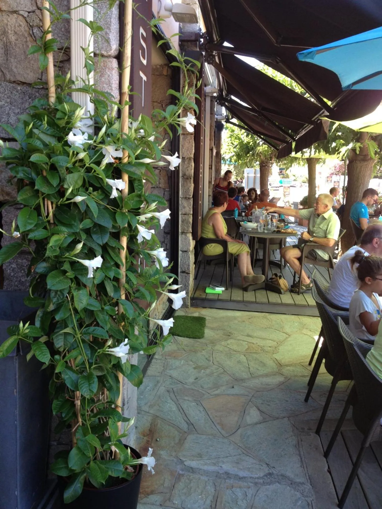 Terrasse ombragée avec des tables et des chaises où des clients prennent leur repas.