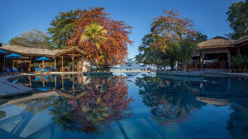 Une piscine bordée de végétation luxuriante reflète le ciel bleu.