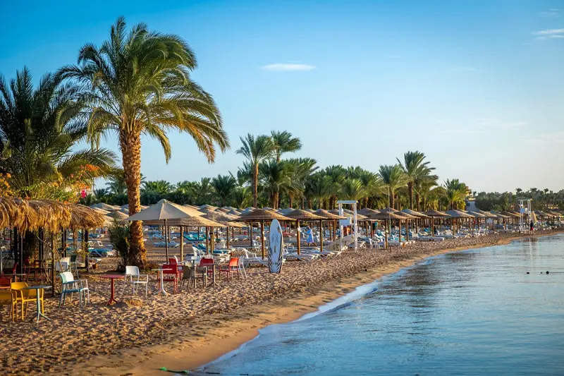 Plage de sable avec transats et parasols sous des palmiers.