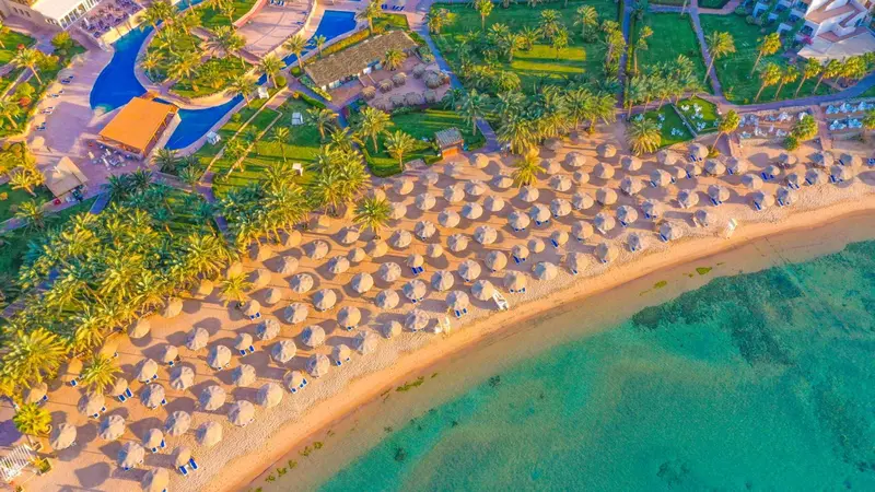 Vue aérienne d'une plage bordée de palmiers et de transats.