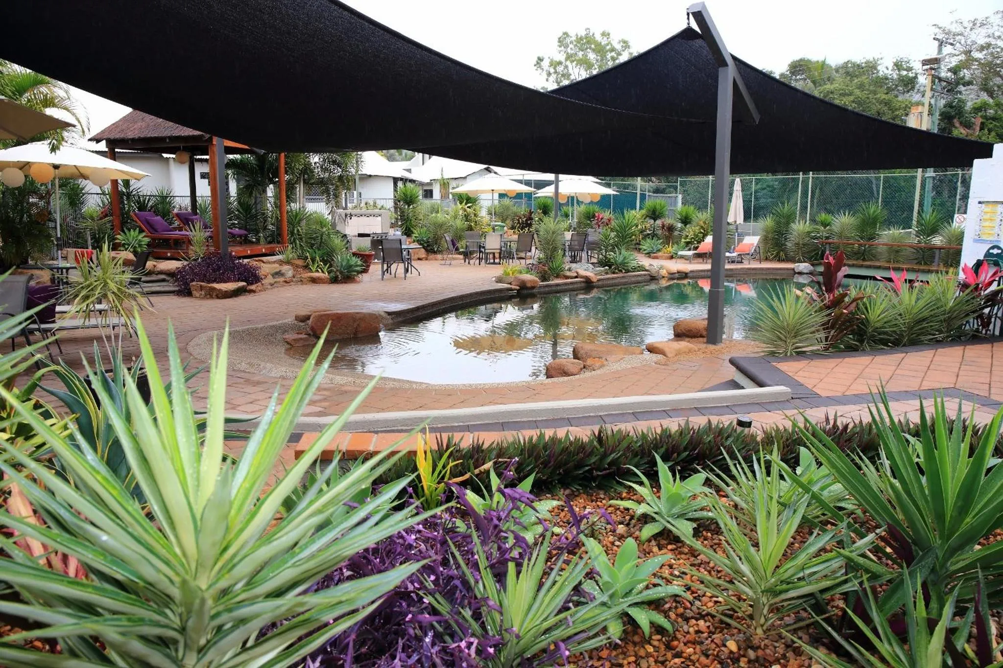 Espace extérieur aménagé avec piscine et végétation tropicale.