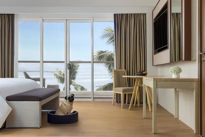 Chambre lumineuse avec vue sur la mer et un espace détente.