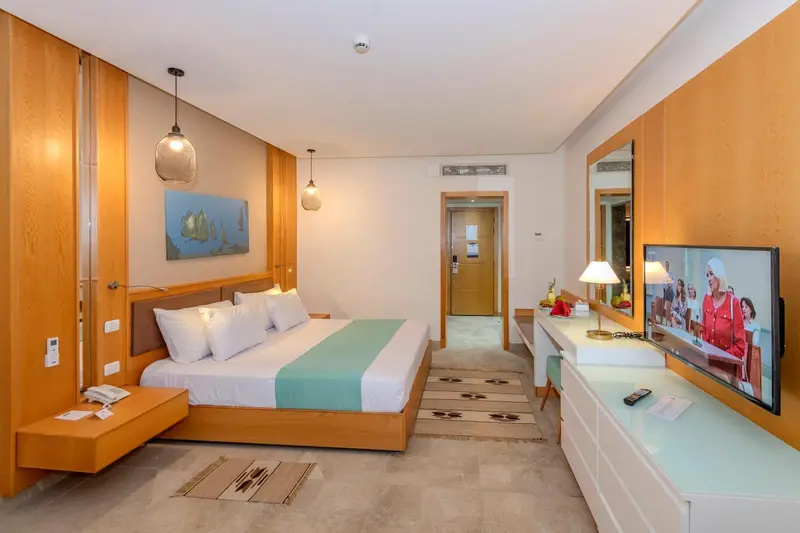 Chambre lumineuse avec un grand lit et une télévision à écran plat.