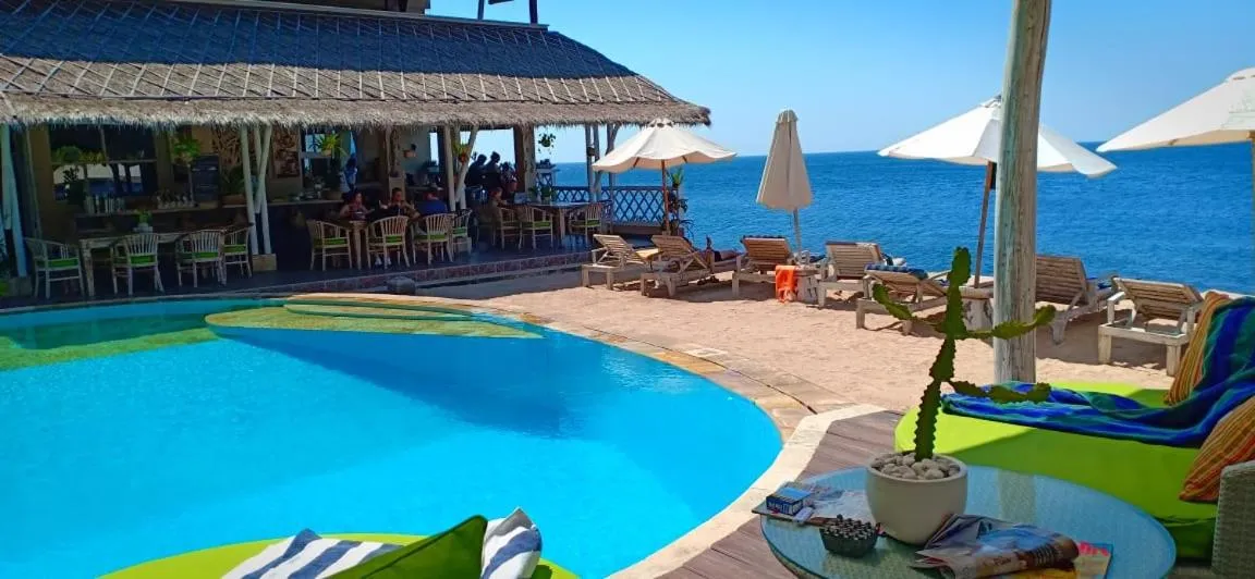 Une piscine turquoise bordée de transats et d'un bar ombragé en bord de mer.