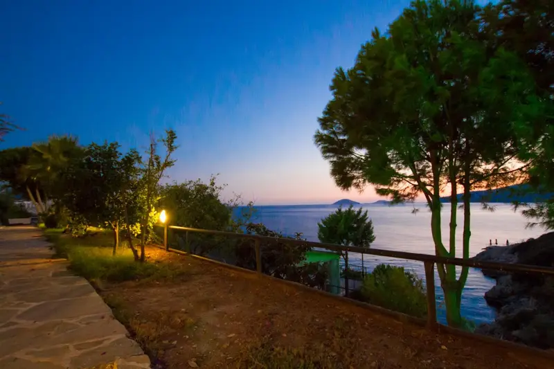 Un chemin bordé d'arbres mène vers une vue sur la mer au coucher du soleil.