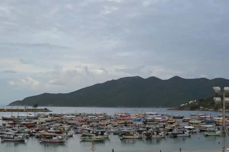 Nombreux bateaux colorés amarrés dans un port abrité, avec une colline verdoyante en arrière-plan sous un ciel nuageux.