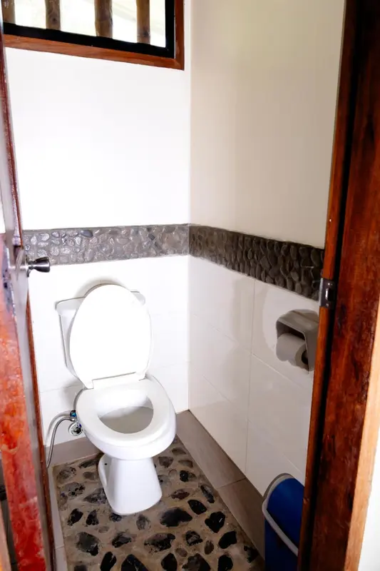 Petite salle de bain avec douche à l'italienne et toilettes.