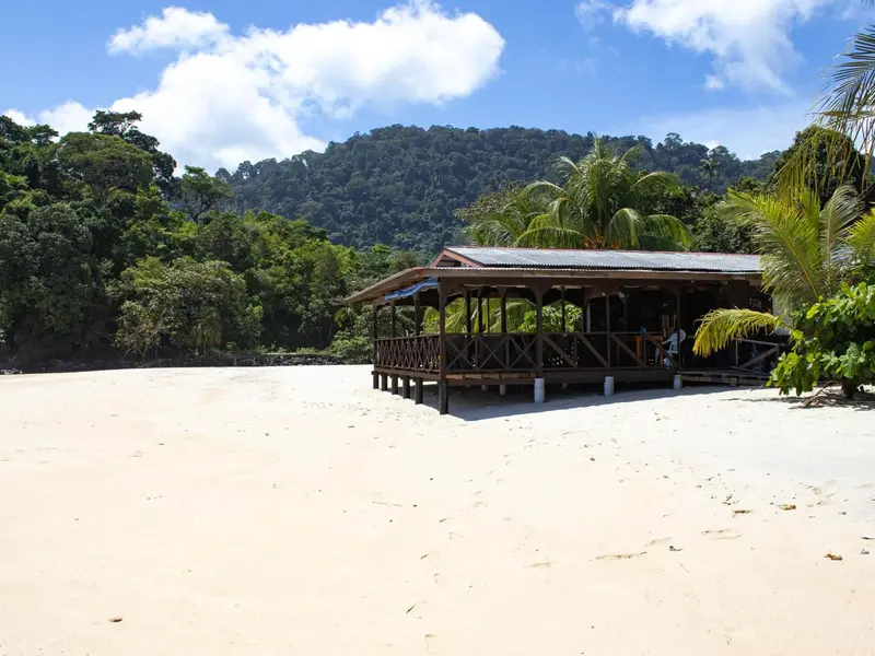 Un abri de plage en bois se dresse sur une étendue de sable fin, bordée d'une végétation luxuriante et de collines verdoyantes.