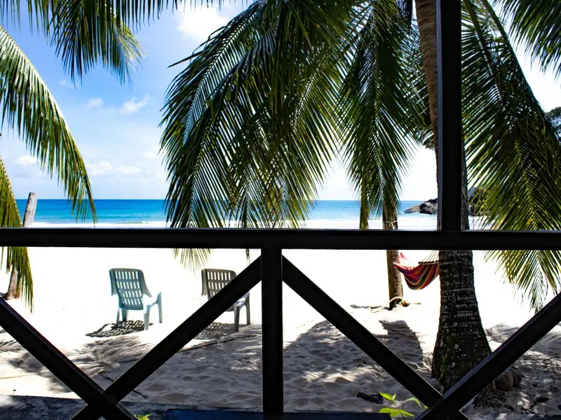 Vue sur une plage de sable blanc bordée de palmiers et de chaises longues.