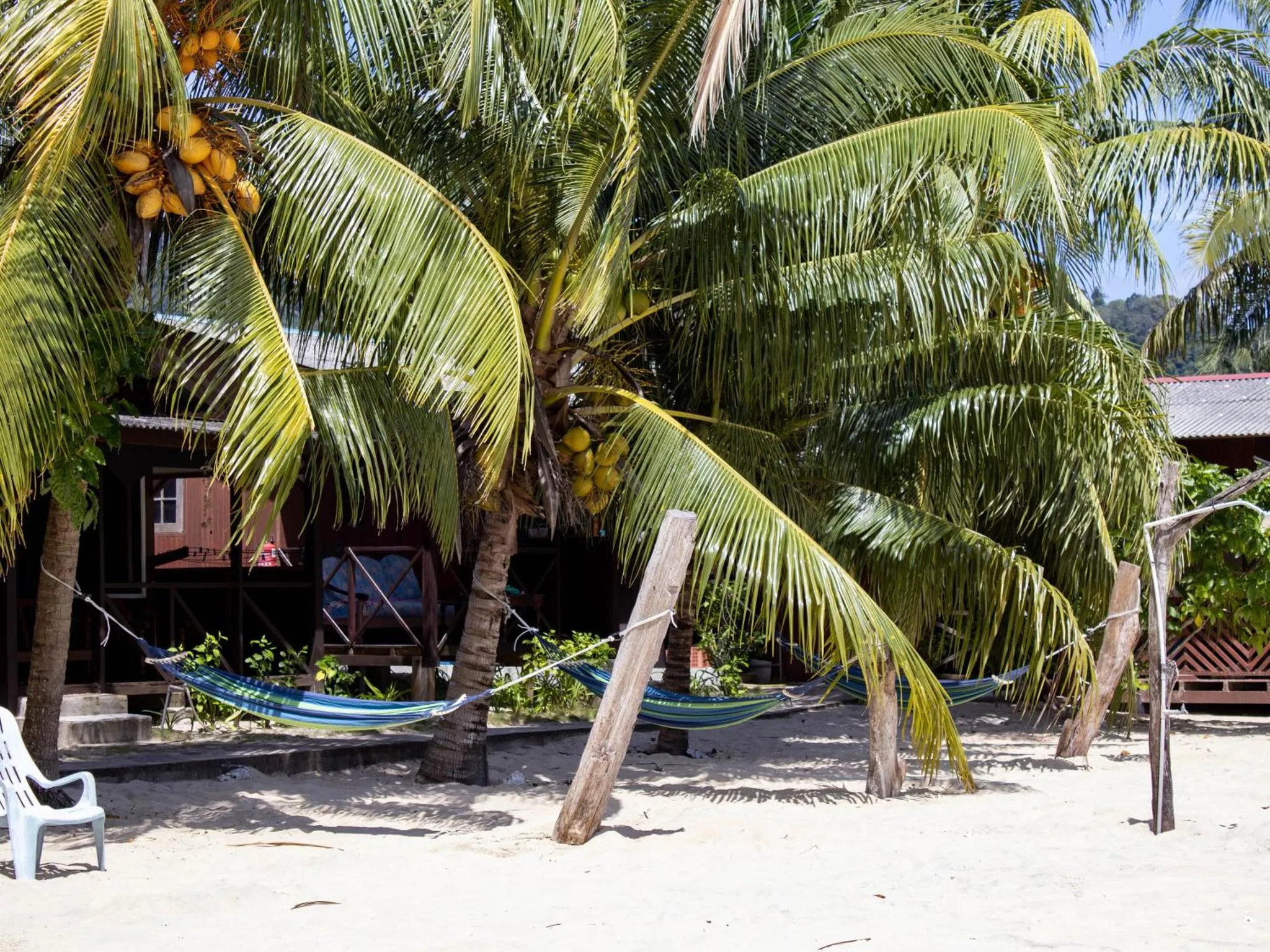 Hamacs suspendus sous des palmiers sur une plage de sable blanc.