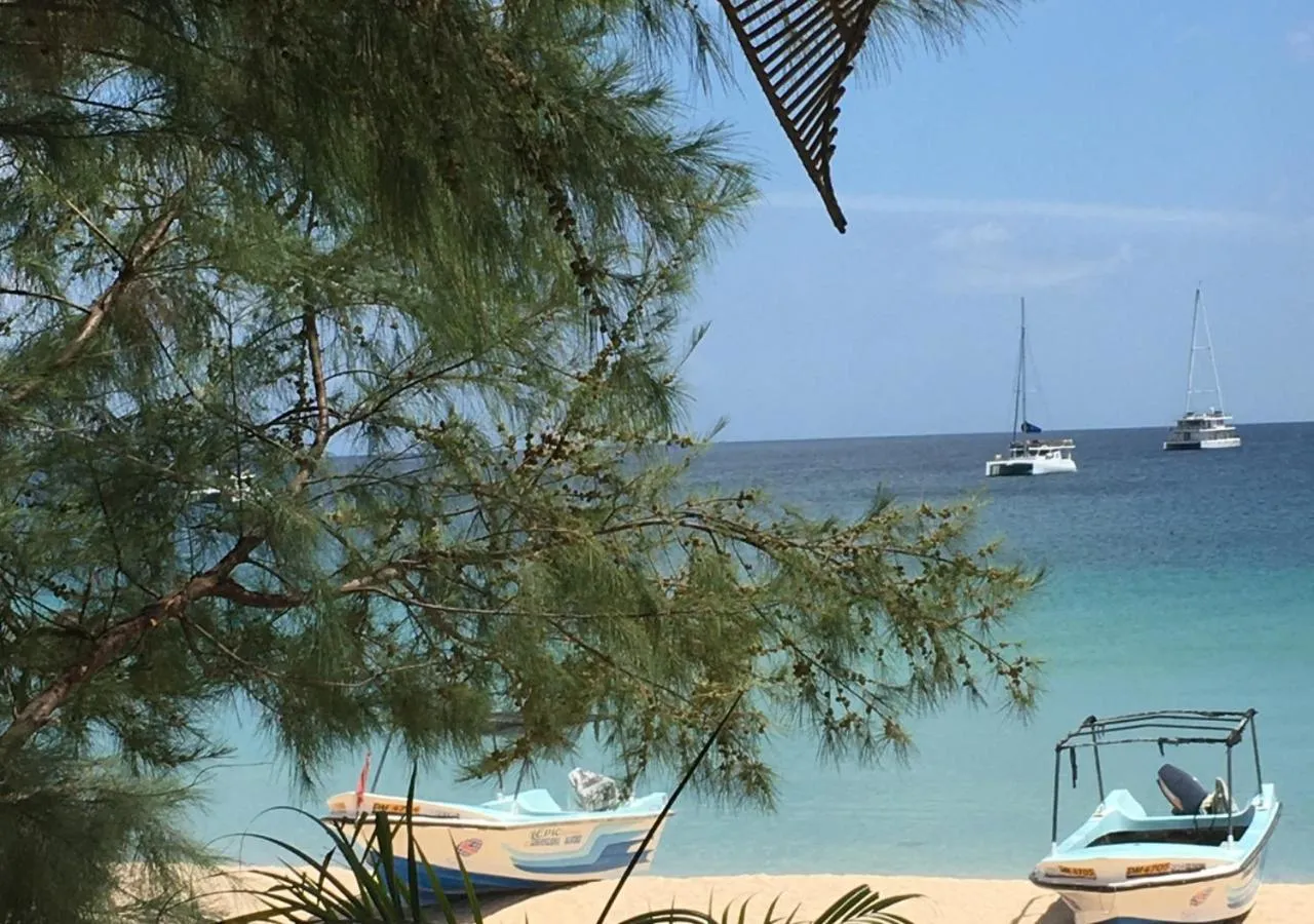 Vue sur la mer avec des bateaux et des embarcations sur la plage.