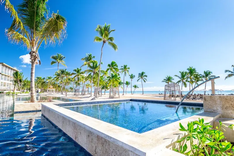 Petite piscine rectangulaire avec un bord en pierre et des palmiers en arrière-plan.