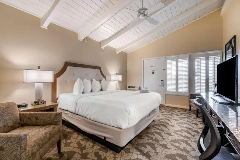 Une chambre lumineuse avec un grand lit et un accès à une terrasse.