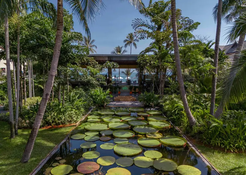 Un jardin luxuriant avec des nénuphars et une allée menant à un bâtiment.