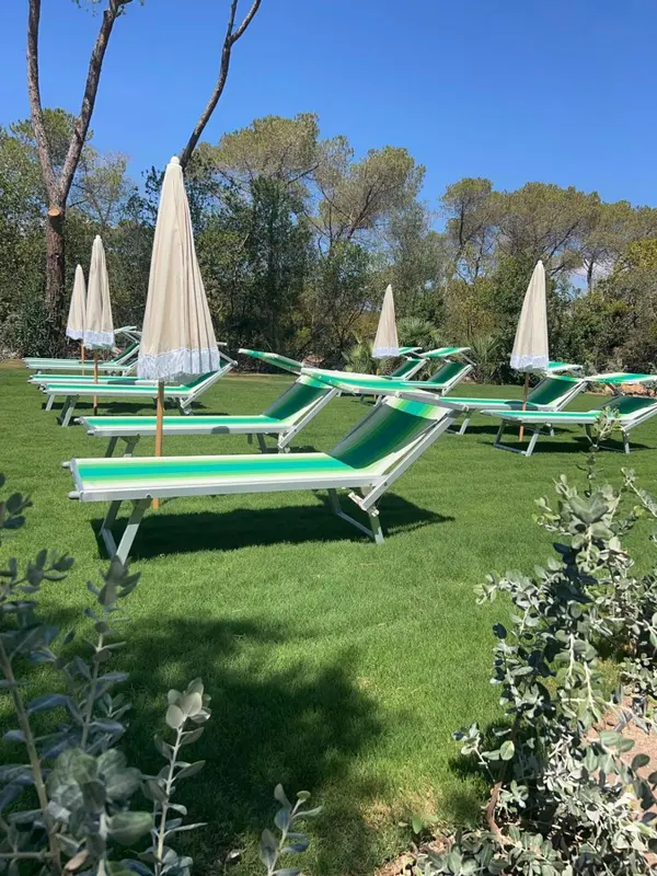 Transats verts et parasols blancs sur une pelouse verdoyante.