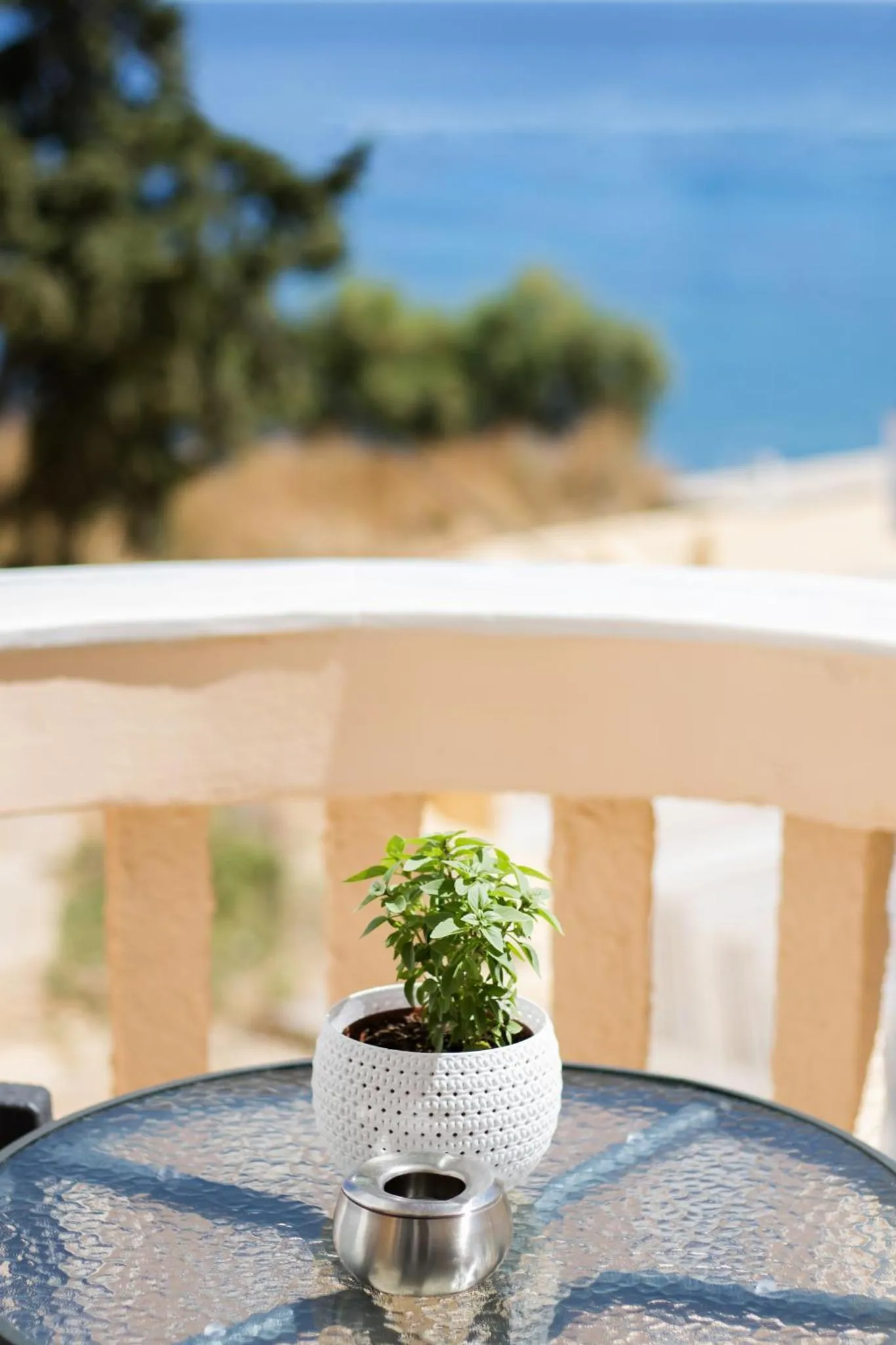 Une table avec une plante en pot sur une terrasse ensoleillée avec vue sur la mer.